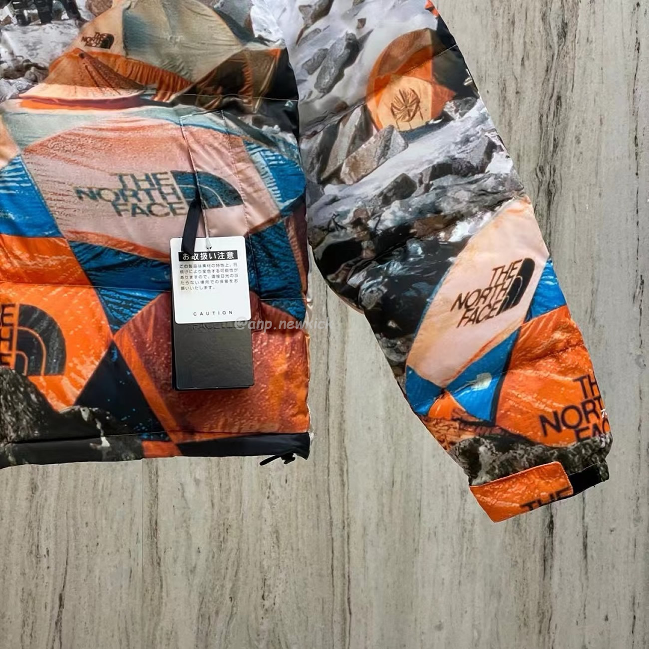 The North Face X Invincible The Expedition Series Nuptse Jacket Multi Fw19 (4) - newkick.org